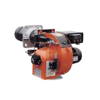 BT14DSG,14DSGW���λ�����ȼ�ջ�